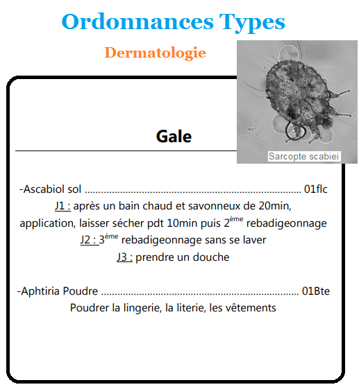 La Gale Ordonnances Types 