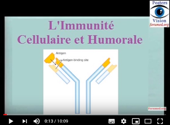 Système immunitaire l'immunité humorale et cellulaire HLA