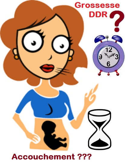 Application Calculer l'age de grossesse en semaines d'amenorrhee et en semaines de gestation