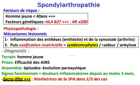 Spondylarthropathie
