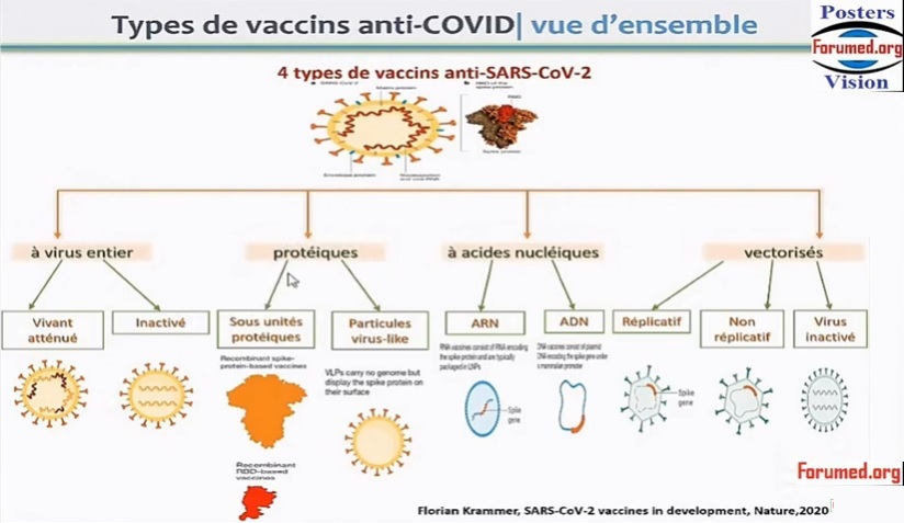 Types de Vaccins Covid19 anti-Coronavirus Sputnik Sinopharm PfizerModerna Astrazeneca 