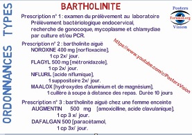 Bartholinite aiguë infection génitale basse chez la femme Anatomie Traitement Ordonnance Type