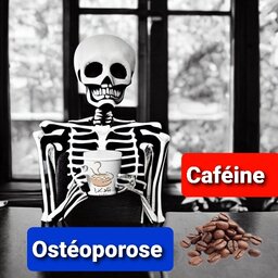 consommation de café et l'ostéoporose caféine 